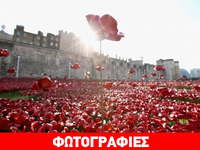 Λονδίνο: Ποτάμι «αίματος» από 888.246 παπαρούνες για τον A’ Παγκόσμιο Πόλεμο