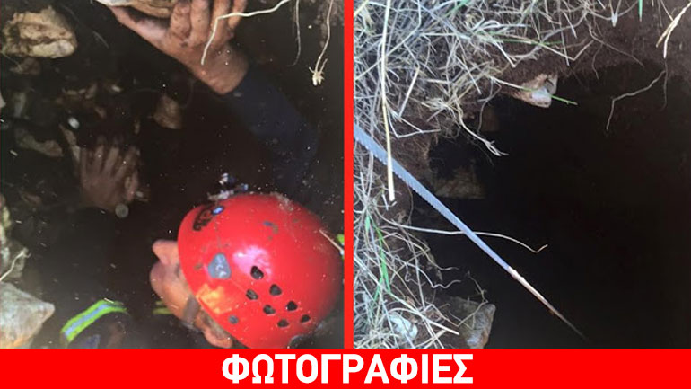 Ιωάννινα: Επιχείρηση για τη διάσωση κυνηγόσκυλου στα οχυρά Μπιζανίου