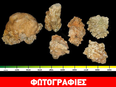Συνέλαβαν 82χρονο που έκρυβε όπλα και… σταλαγμίτες