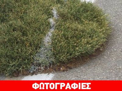 Κρήτη: Έβαψαν τις διαχωριστικές γραμμές, έβαψαν και τους θάμνους