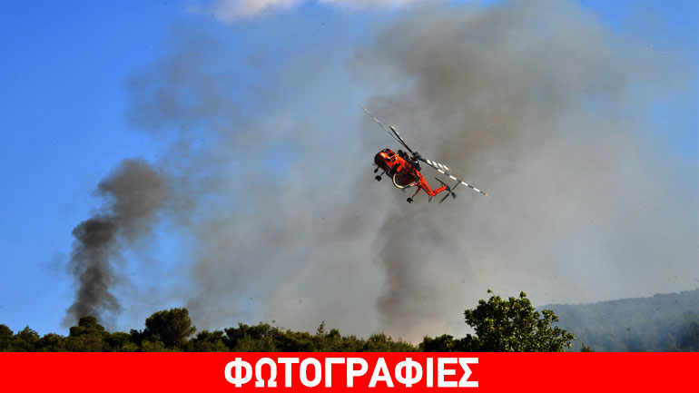 Στις φλόγες δασική έκταση στα Βίλια Αττικής