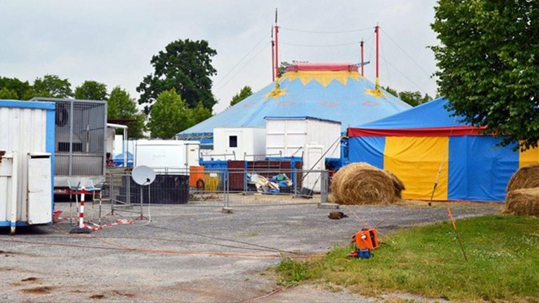 Γερμανία: 65χρονος τραυματίστηκε θανάσιμα από ελεφαντίνα