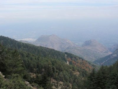 Απαγόρευση κυκλοφορίας στη Μεσσηνία λόγω αντιπυρικής περιόδου