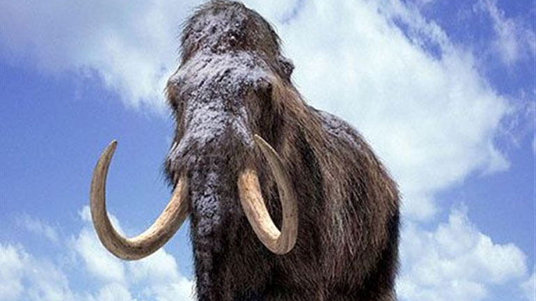 Πιο κοντά στη νεκρανάσταση των μαμούθ