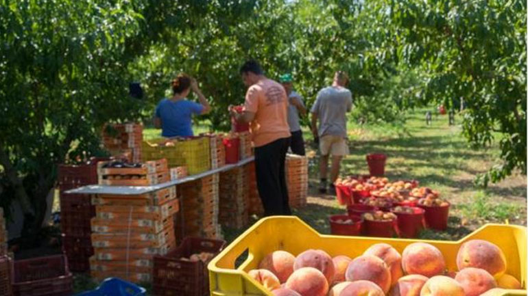 Η Μόσχα προετοιμάζεται για την επανέναρξη των ελληνικών εισαγωγών τροφίμων