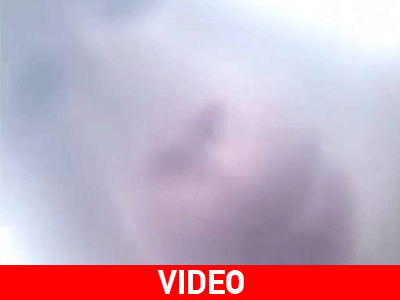 Μαϊμού χαστουκίζει γυναίκα και κλέβει το κινητό της