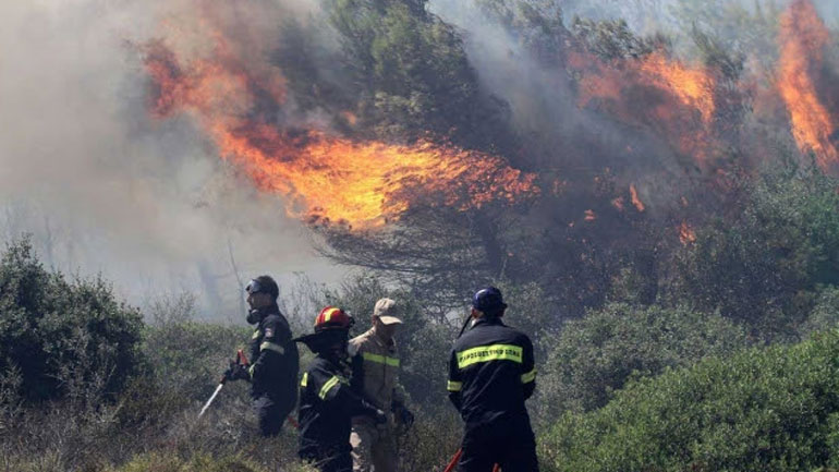 Φθιώτιδα: Πυρκαγιά σε δασική έκταση στο Ρεγγίνι