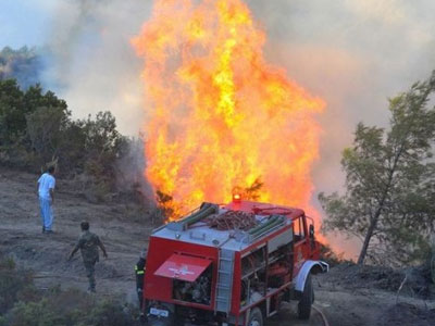 Εύβοια: Μεγάλη φωτιά στα Ψαχνά