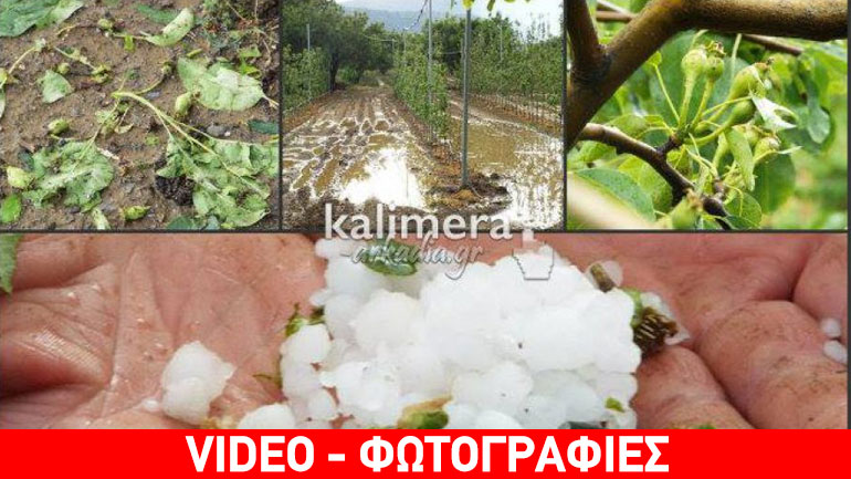 Τρίπολη: Σφοδρή χαλαζόπτωση προκάλεσε ζημιές σε καλλιέργειες Τρίπολη: Σφοδρή χαλαζόπτωση προκάλεσε ζημιές σε καλλιέργειες