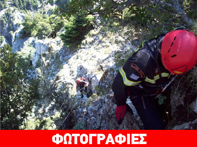 Φθιώτιδα: Επιχείρηση απεγκλωβισμού σκύλου σε χαράδρα 400 μέτρων