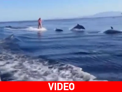 Θαλάσσιο σκι παρέα με… δελφίνια