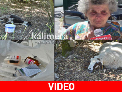 Αρκαδία: Nεκρά ζώα από τον καταρροϊκό πυρετό