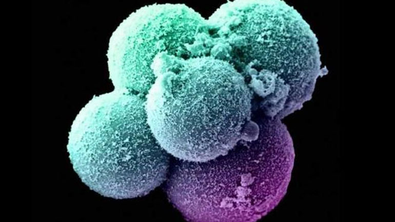 Διχασμένοι οι επιστήμονες για τη γενετική τροποποίηση εμβρύων