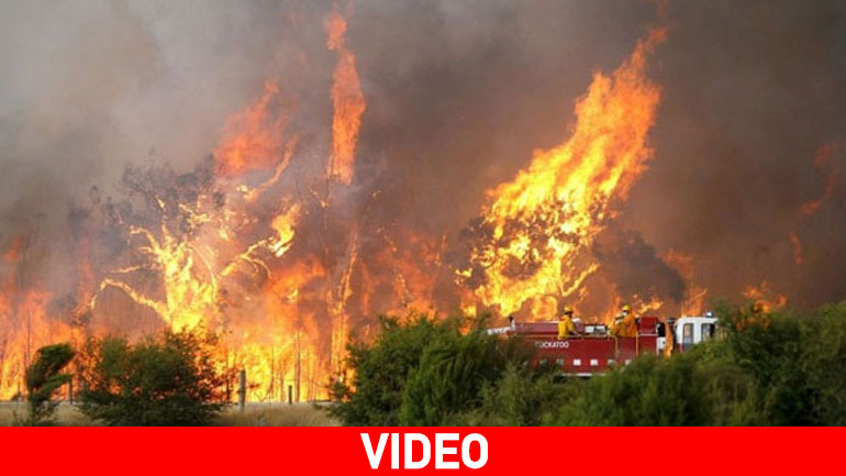 Σε ύφεση η μεγάλη φωτιά στη Σητεία