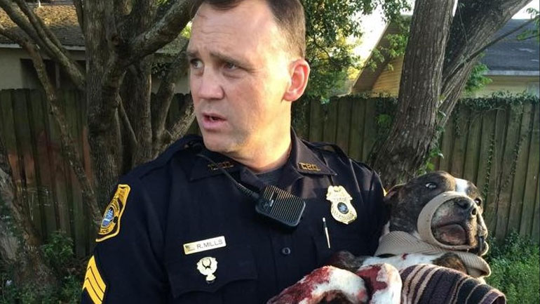 Πυροβόλησαν σκυλίτσα και την έδεσαν στις ράγες τρένου