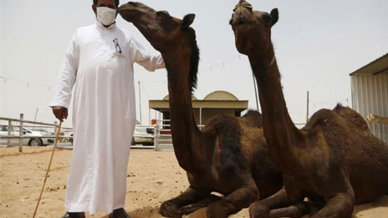 «Νεαρές καμήλες» η πηγή του ιού MERS