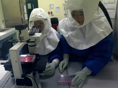 Έλληνες ερευνητές στις ΗΠΑ ανακάλυψαν καινοτομικούς καταλύτες από χρυσό