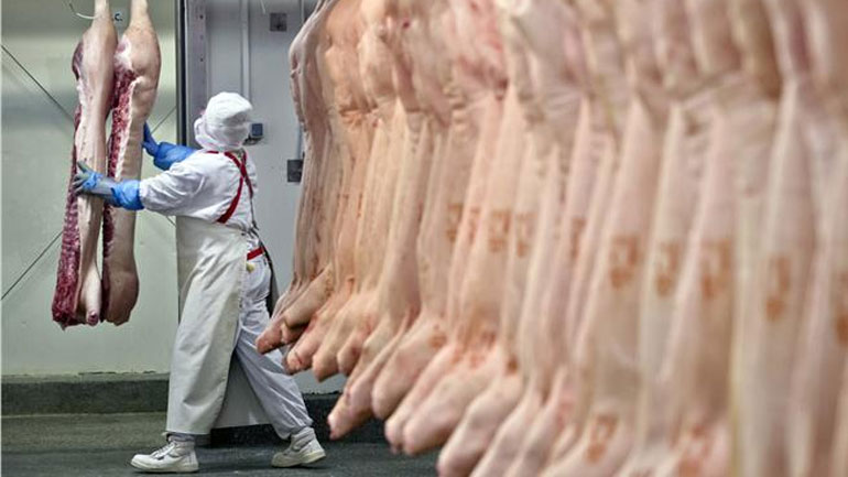 Γαλλία: Συνελήφθησαν διακινητές ακατάλληλου κρέατος αλόγου