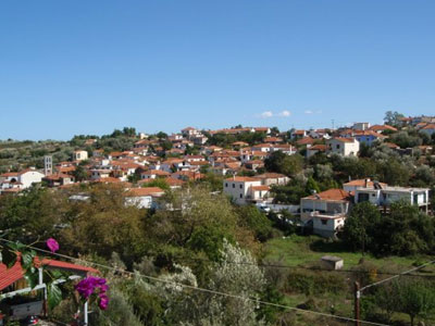 Τραγωδία στην Εύβοια: 15χρονος «έσβησε» στα χέρια των γονιών του