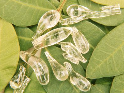 UNESCO: Μέρος της Παγκόσμιας Πολιτιστικής Κληρονομιάς η ελληνική μαστίχα