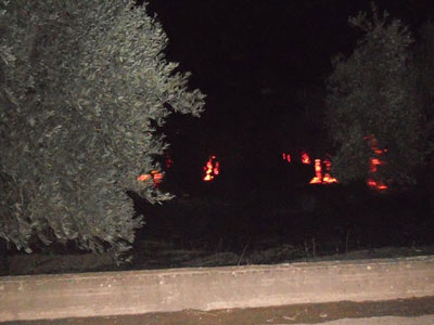 Άλιμος: Φωτιά στον Λόφο Πανί και σύλληψη ενός υπόπτου