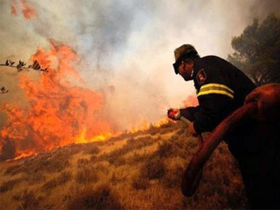 Αλμυρός: Σε «κάρβουνο» μετατράπηκαν δεκάδες στρέμματα δάσους