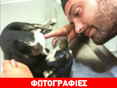 Τουρίστες έσωσαν κουτάβι που πετάχθηκε από κινούμενο όχημα‏