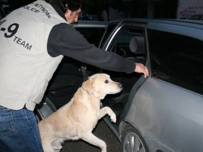 Σκιάθος: Φάρσα τα τηλεφωνήματα για βόμβα στο αεροδρόμιο