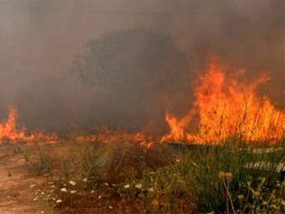 Πυρκαγιά ξέσπασε στην ανατολική Μάνη
