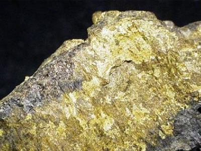 Το μεγαλύτερο κοίτασμα χρυσού δημιουργήθηκε από… μικρόβια