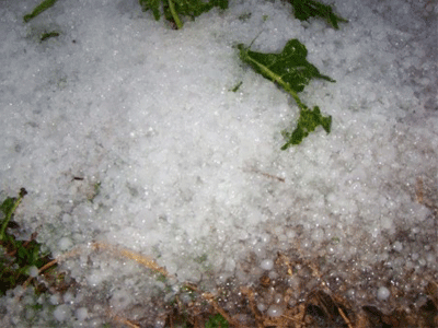 «Σηκώνουν» το πρώτο αεροπλάνο χαλαζικής προστασίας για τους αγρότες