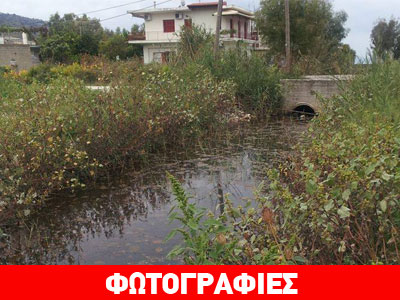 Θεσπρωτία: Ποτάμι έχει μετατραπεί σε εστία μόλυνσης