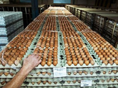 Πουέρτο Ρίκο: Εκλεψαν 456.000 αυγά αξίας 121.000 ευρώ!