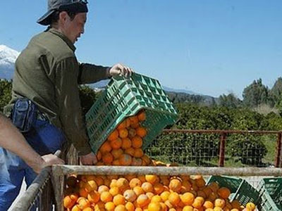 Κανονικά οι εισαγωγές ελληνικών γεωργικών προϊόντων στη Ρωσία