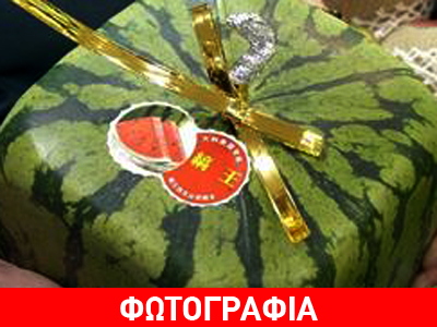 Ανοησία με τη βούλα…