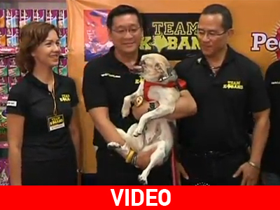 Σκυλίτσα συγκινεί την υφήλιο με τον ηρωισμό της Σκυλίτσα συγκινεί την υφήλιο με τον ηρωισμό της