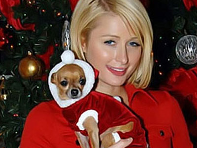 Και το σκυλάκι της στο… κλίμα