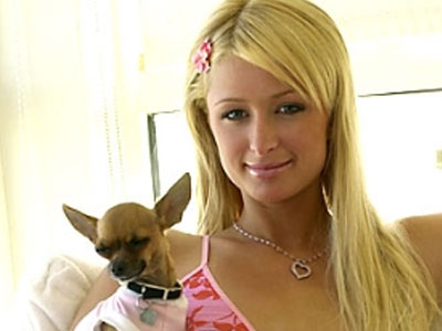 Επίθεση φιλόζωων στην Paris Hilton
