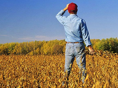 Υποχρεωτική η τήρηση στοιχείων για τους αγρότες με εισόδημα άνω των 15.000 ευρώ