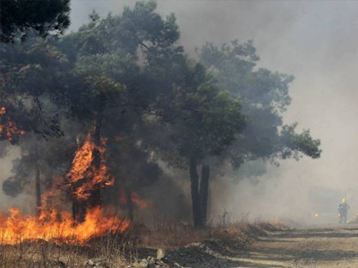 Κρήτη: Υπό μερικό έλεγχο η πυρκαγιά στον Άγιο Νικόλαο