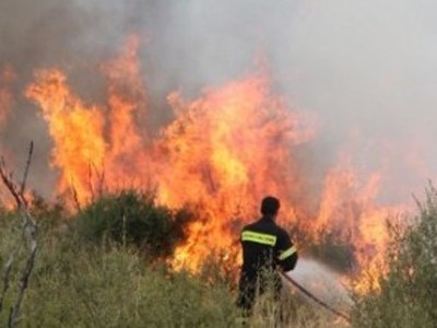 Κρυονέρι: Καλή εικόνα από την επιχείρηση πυρόσβεσης