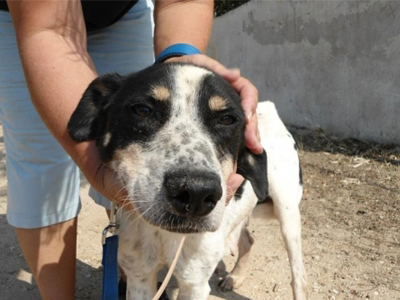 Χάθηκε η Ήρα