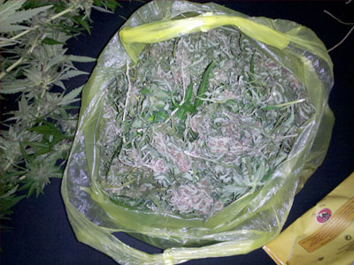 Διακινούσαν κάνναβη