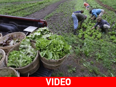 Προγραμμάτα κοινωφελούς εργασίας σε Ηράκλειο και Λασίθι