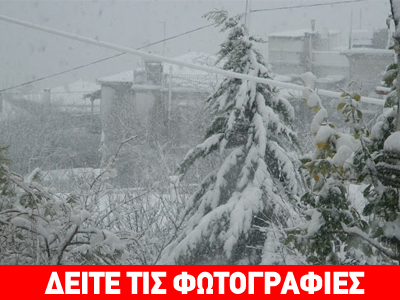 Έντονη χιονόπτωση στην Κύμη