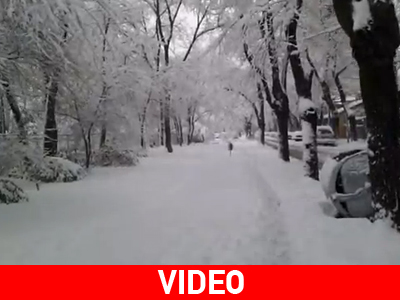 Βουλγαρία: «Πορτοκαλί συναγερμός» λόγω του ψύχους