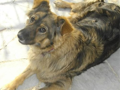 Χάθηκε η Κάσσυ