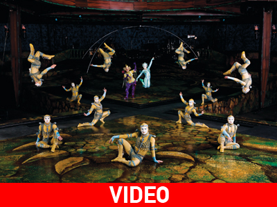 Alegría- Cirque Du Soleil