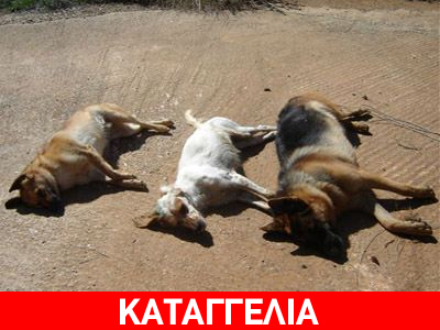 Αγριότητες κατά ζώων στην Ερμιονίδα