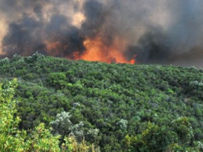 Κρήτη: Φωτιά σε Ελαφονήσι και Ρέθυμνο